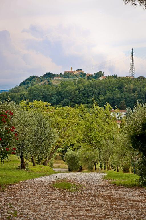Podere Lo Stringaio Holiday home