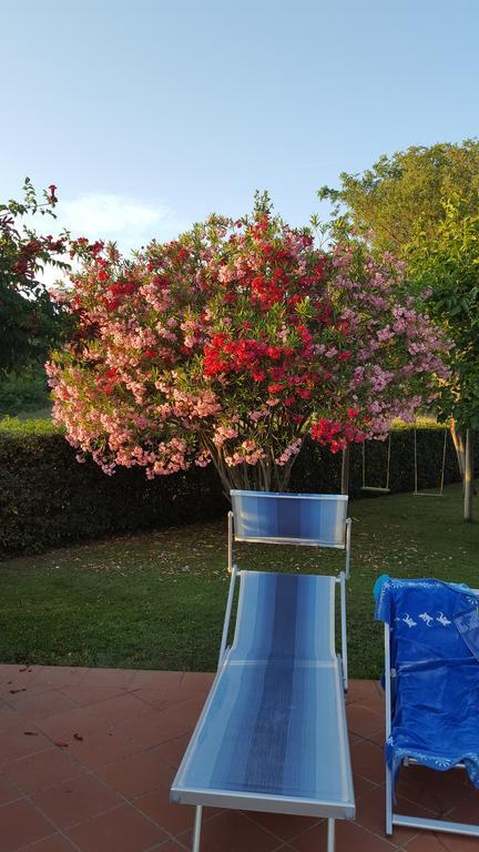 Podere Lo Stringaio Holiday home Fauglia