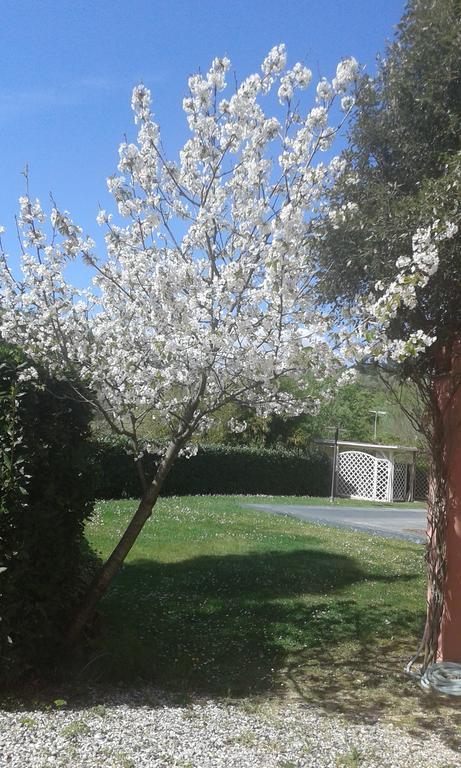 Podere Lo Stringaio Holiday home
